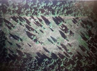 14175 E Perimeter Rd, Athol, ID 83801