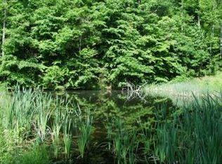 1668 E Pumpkin Valley Rd, Eidson, TN 37731