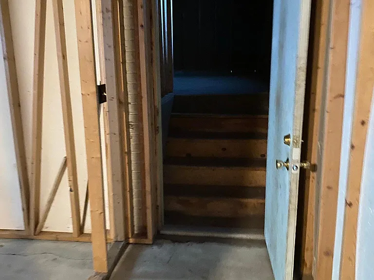 Garage to basement door
