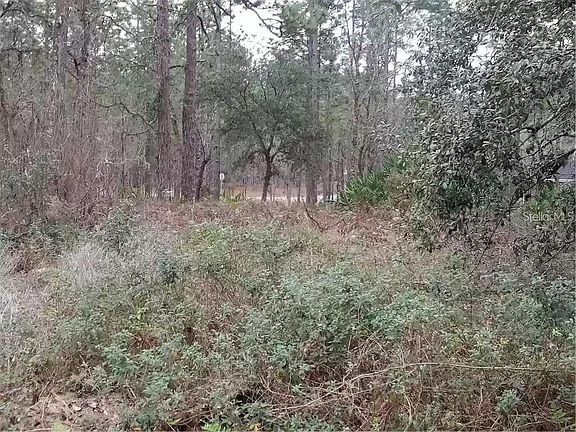 2nd image of 1496 W Diamond Dr