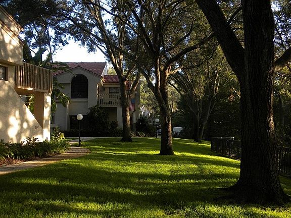 2nd image of 318 Los Prados Dr