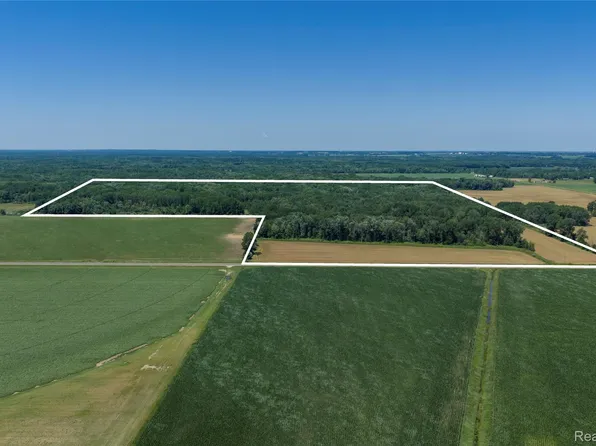 0 Dodge Rd, Cass City, MI 48726