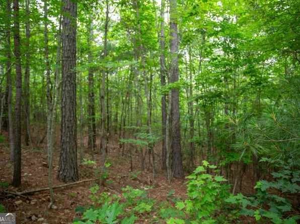 6480A Highway 52 W, Dahlonega, GA 30533