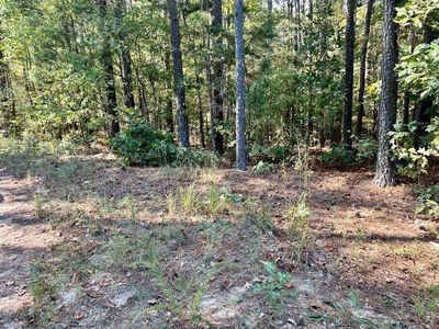 7th Court Ground Rd, Bremen, GA, 30110