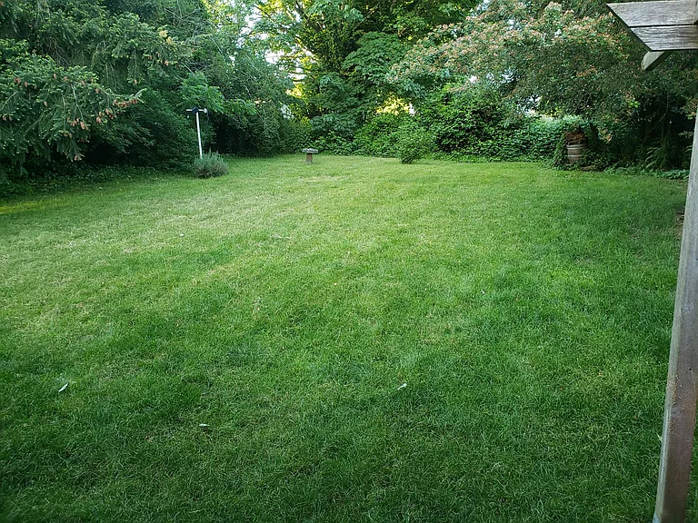 10026 11th Ave SW — Photo 3