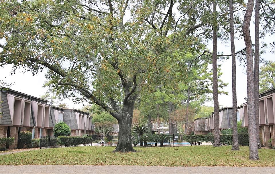 1st image of 12633 Memorial Dr APT 204