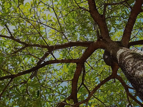 Valley Brook Townhomes