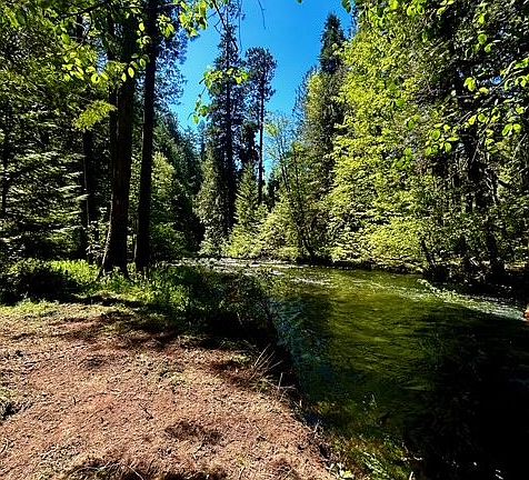 2nd image of McKenzie Hwy