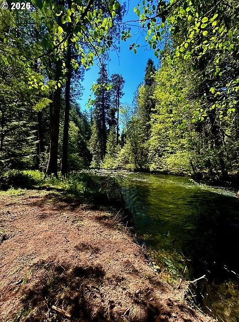 1st image of McKenzie Hwy