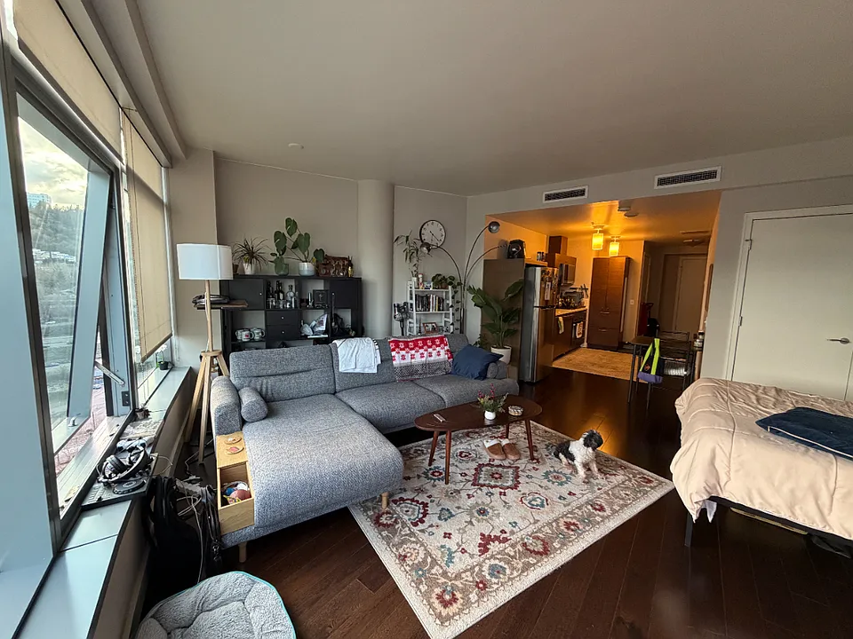 3601 S River Pkwy #1616
