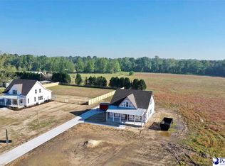 720 Andrews Mill Rd, Timmonsville, SC 29161