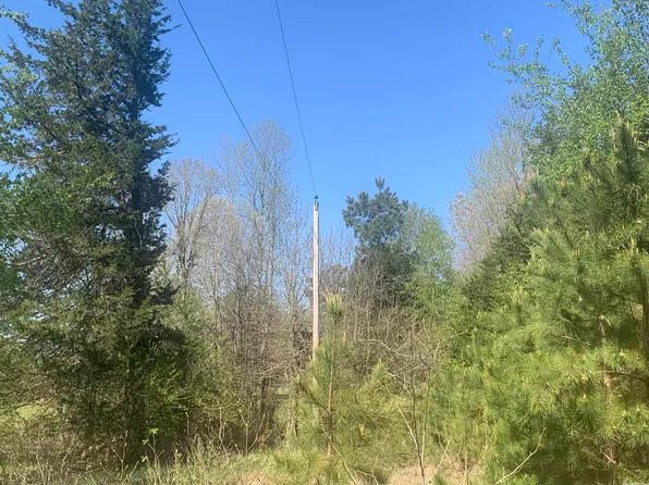 (undisclosed Address), Bald Knob, AR 72010