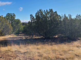 8341 Rainbow Dr, Show Low, AZ 85901