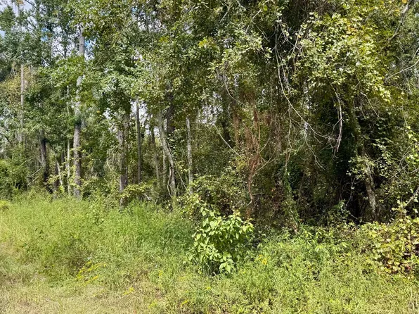 LOT 45 SW 32nd Ln, Jasper, FL 32052