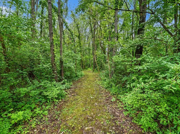 V/l Forest Shores Drive 9, Cassopolis, MI 49031