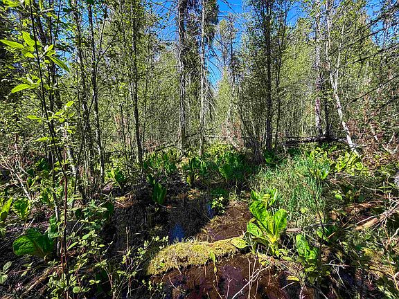 5th image of 3499 S Waitts Lake Rd