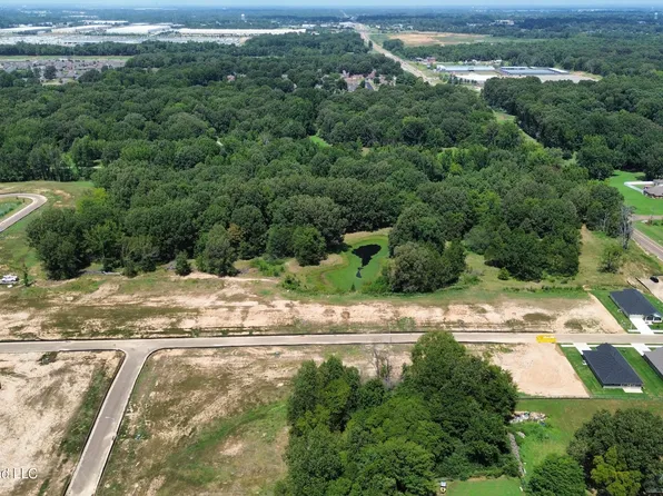 4225 Highway 305 N, Olive Branch, MS 38654