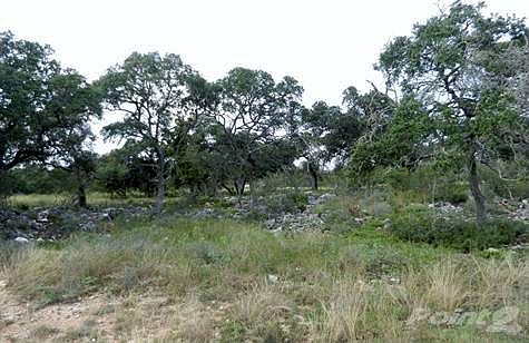 5th image of 1619 Bussola