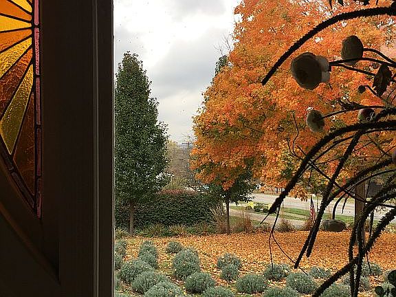 Gorgeous window with view