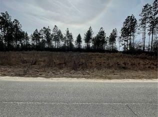 LOT 39 Stanfield Cir, Blackshear, GA 31516