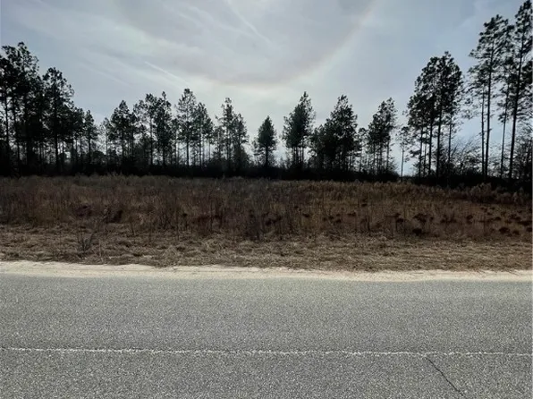 LOT 39 Stanfield Cir, Blackshear, GA 31516