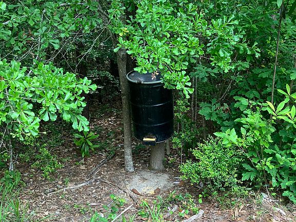 2nd image of Forestry Rd #356
