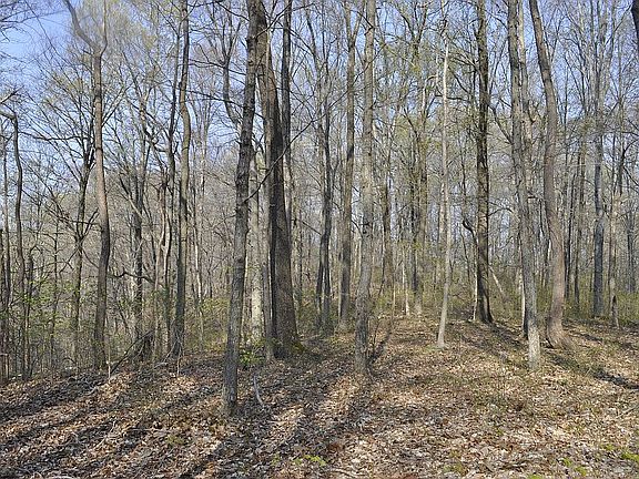 4th image of 8254 Charlotte Pike