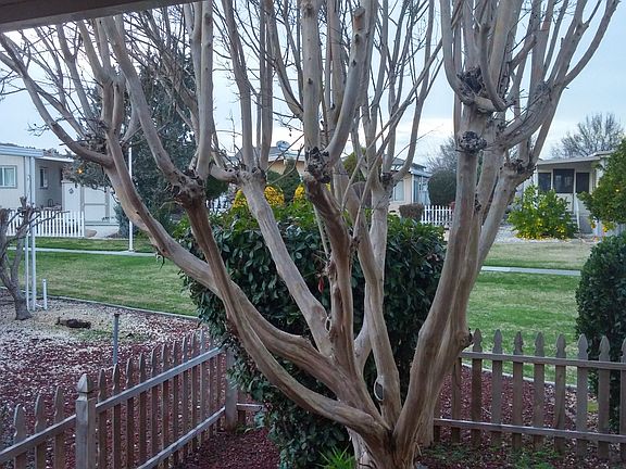 View from back porch