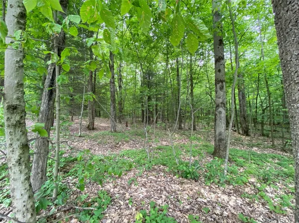 0 Gross Rd, Laurens, NY 13796