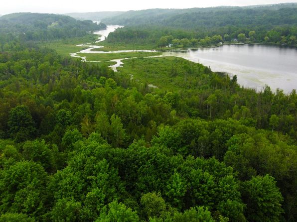 0 Veldkamp Ln, Central Lake, MI 49622