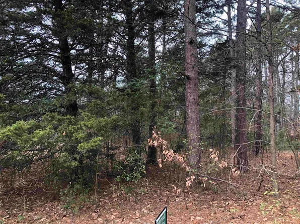 L9 Heritage Hl, Higden, AR 72067