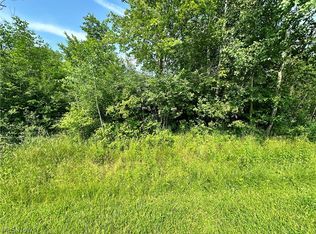 667 Wren Cir, Rock Creek, OH 44084