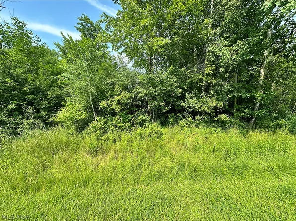 667 Wren Cir, Rock Creek, OH 44084
