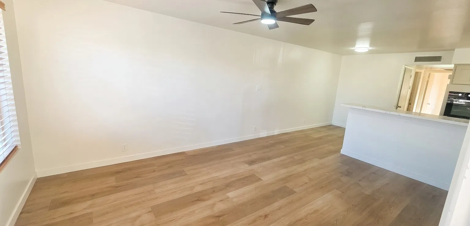 1 bed, 800 sqft, $1,250 — Photo 1