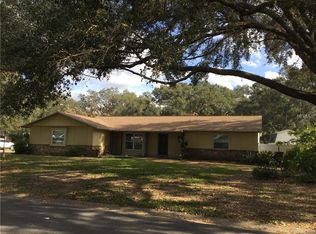 2202 S Waterman Dr, Valrico, FL 33594