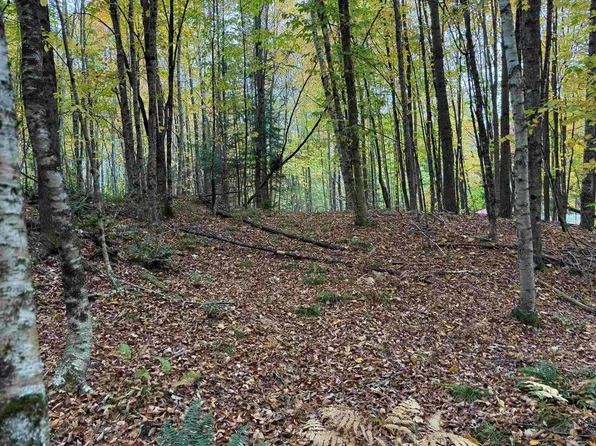 4 & 5 Forest Lane, Lyndon, VT 05851