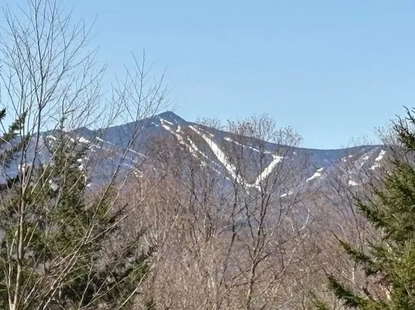 0 Walker Hill Road, Bridgewater, VT 05034