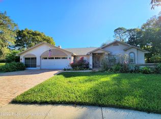 322 Hollow Oak Ct, Spring Hill, FL 34609