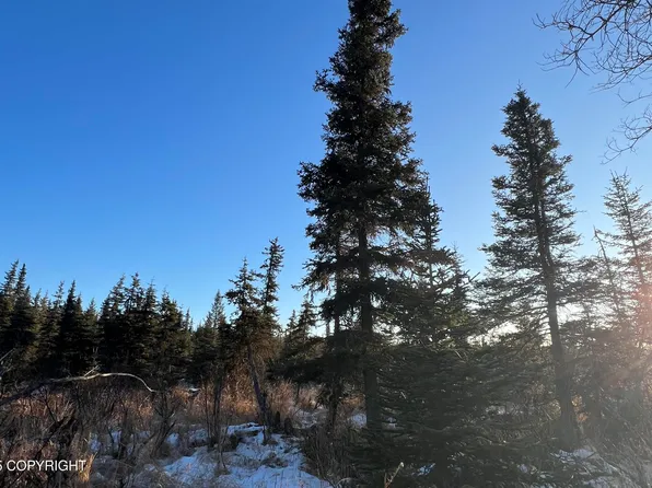 34725 N Fork Rd, Anchor Point, AK 99556