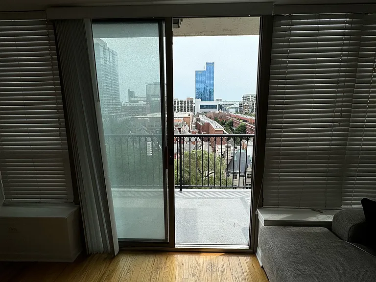 1717 S Prairie Ave #907 — Photo 8