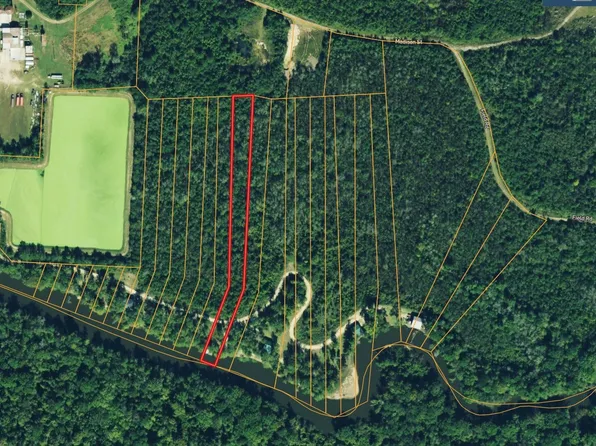 136 Bluff Rd, Midville, GA 30441