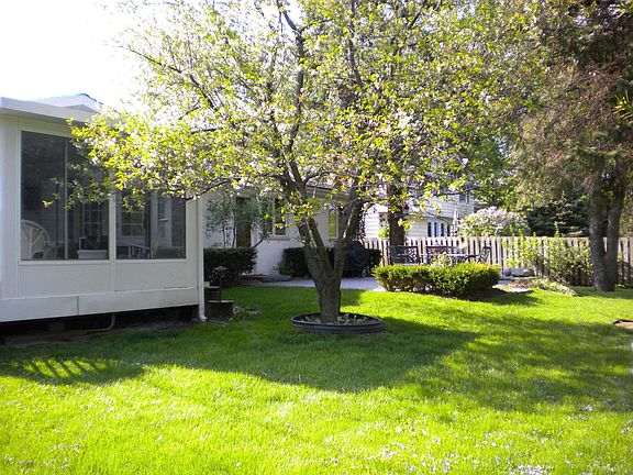 Sunporch & back yard