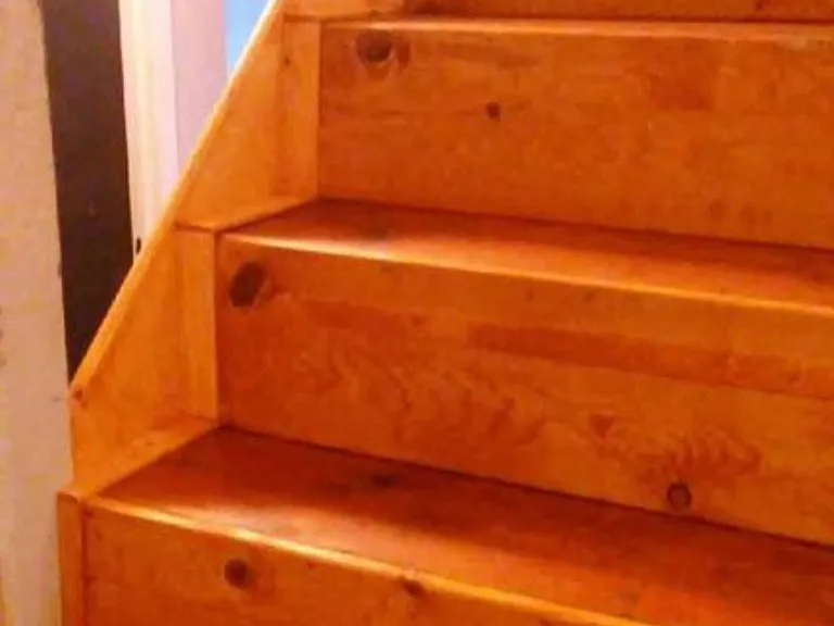 Steps to the downstairs. carpet threads on them now.
