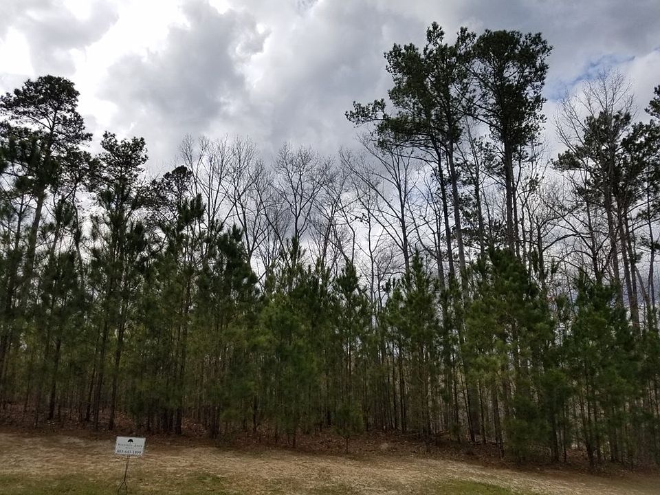2nd image of 330 Three Runs Creek Way
