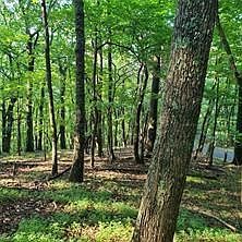 4th image of 101 Deer Run #6304
