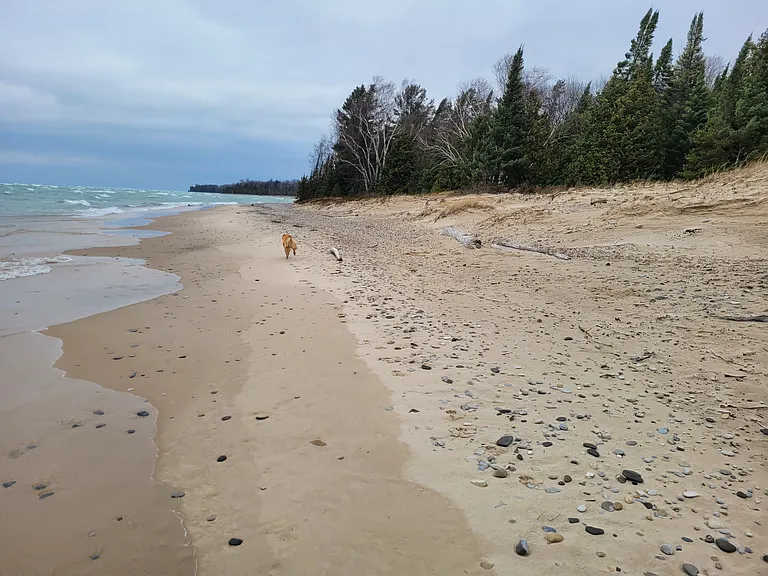 12914 Rex Beach Rd #2 — Photo 15