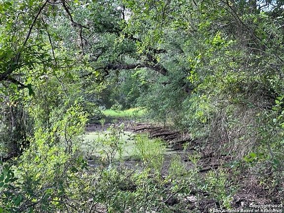3rd image of 600 COUNTY ROAD 241