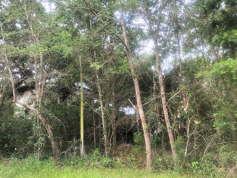 2nd image of Ben Willis Rd
