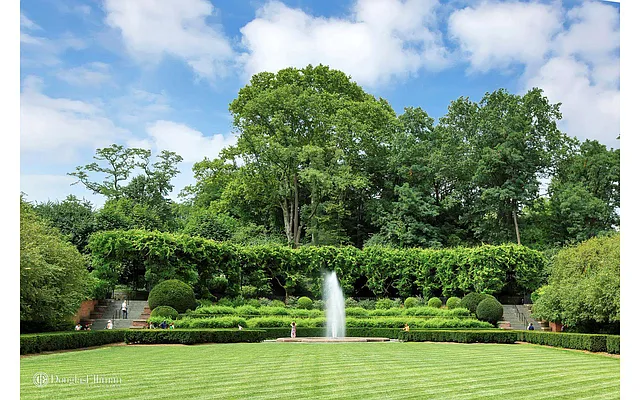 Rented by Douglas Elliman | media 22