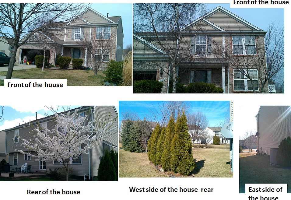 Front of the house